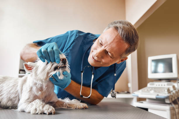 Best Emergency Dental Surgery in Unalaska, AK